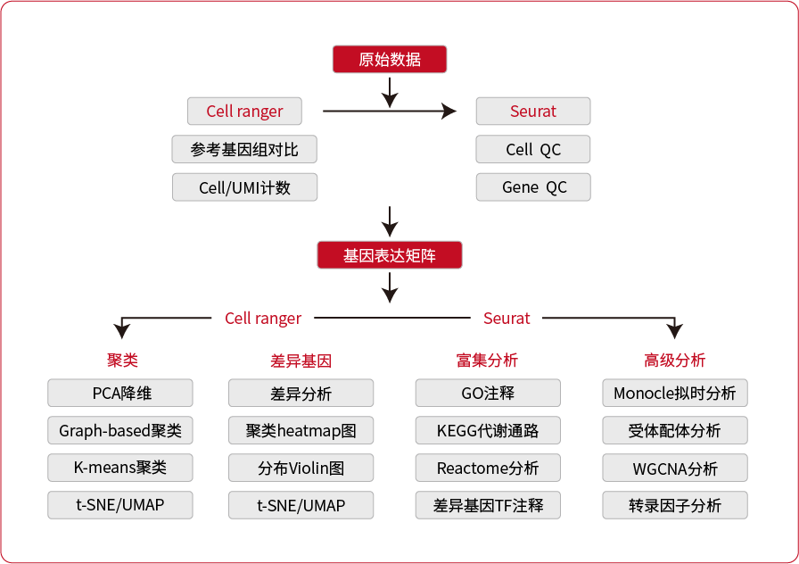 分析流程