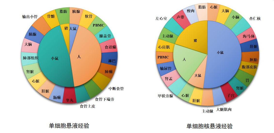 项目经验-动物