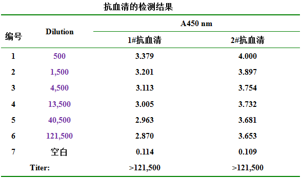 抗体制备