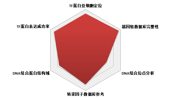 转录因子蛋白DNA结合分析