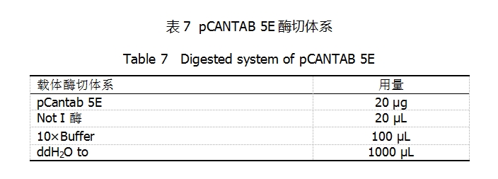 pCANTAB 5E酶切体系