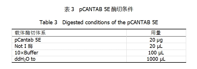 pCANTAB 5E酶切条件