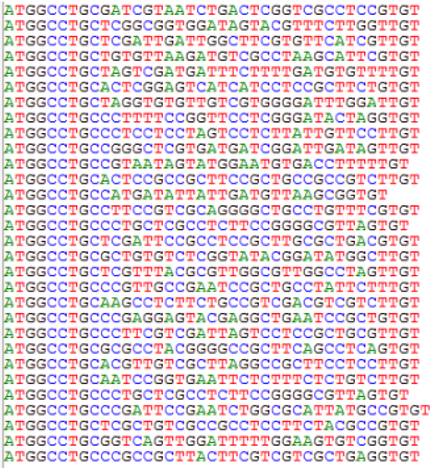  环九肽文库测序序列图