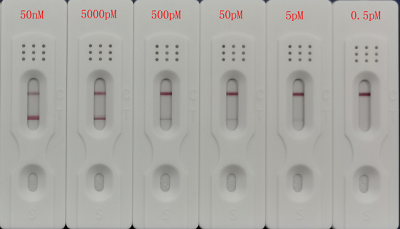 PCR产物检测案例