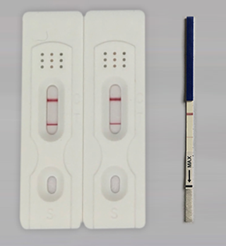 PCR产物胶体金
