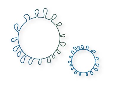 新型冠状病毒（COVID-19)核酸测定引物探针