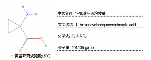 1-氨基-环丙烷羧酸