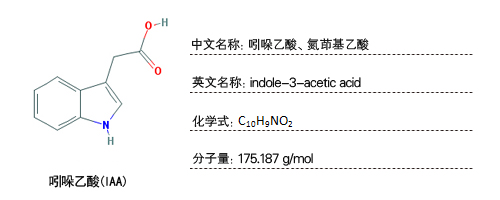1-氨基-环丙烷羧酸