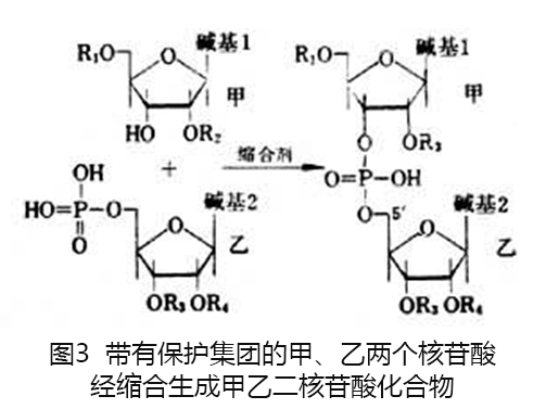 磷酸二酯（合成）法