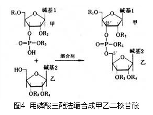 磷酸三酯法