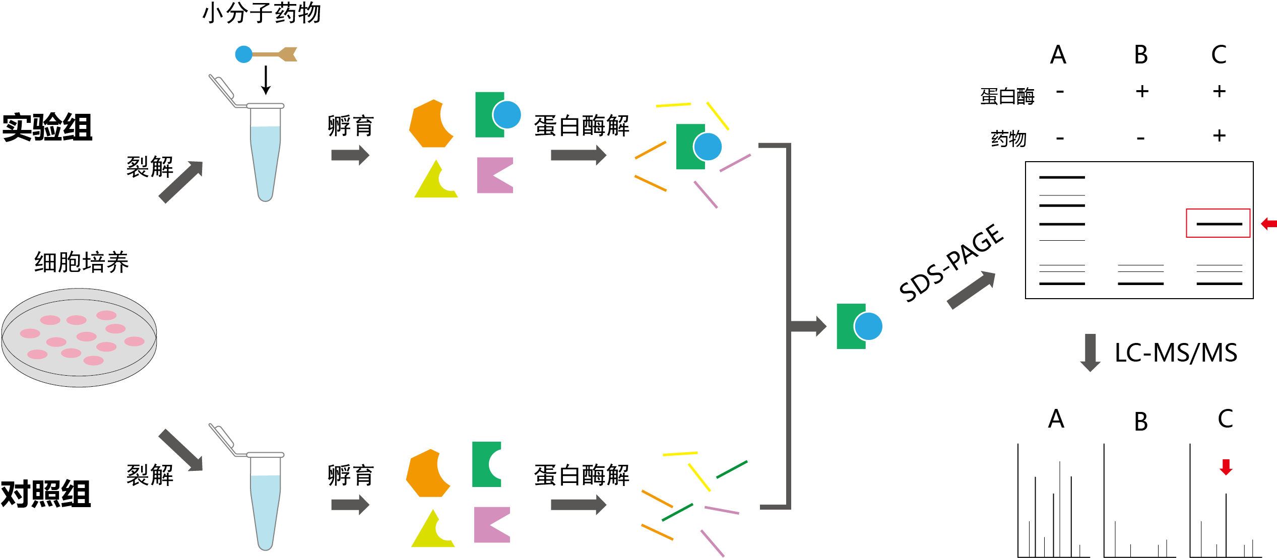 DARTS实验策略