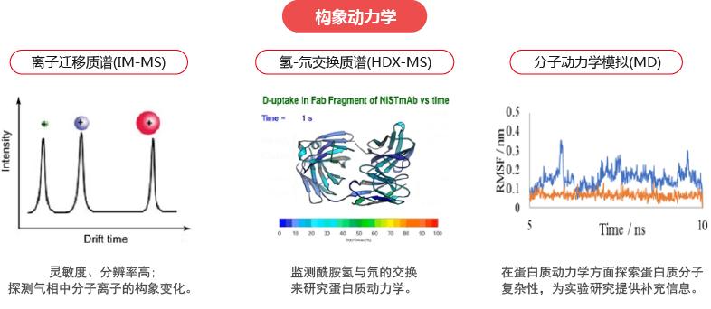 氢氘交换质谱（HDX-MS）研究背景