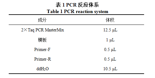PCR反应体系图