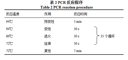 PCR反应程序图