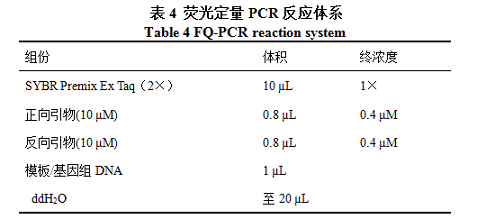 荧光定量PCR反应体系图