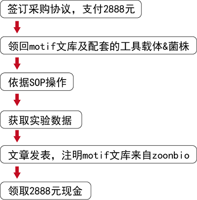 motif文库申请流程