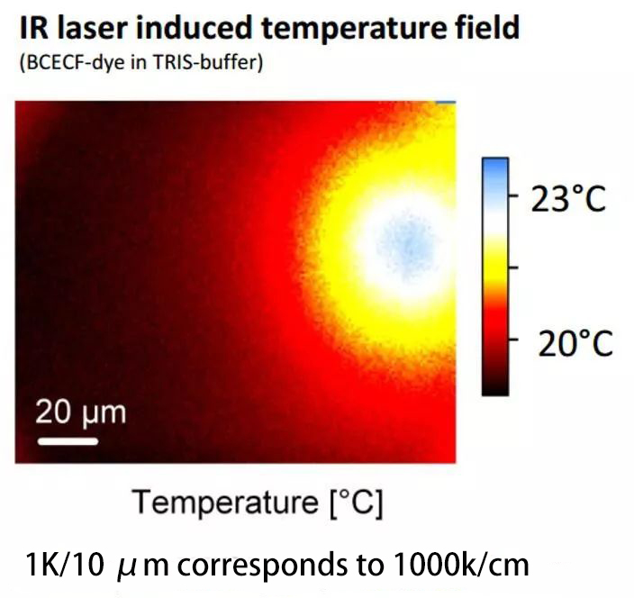 红外激光诱导温度场