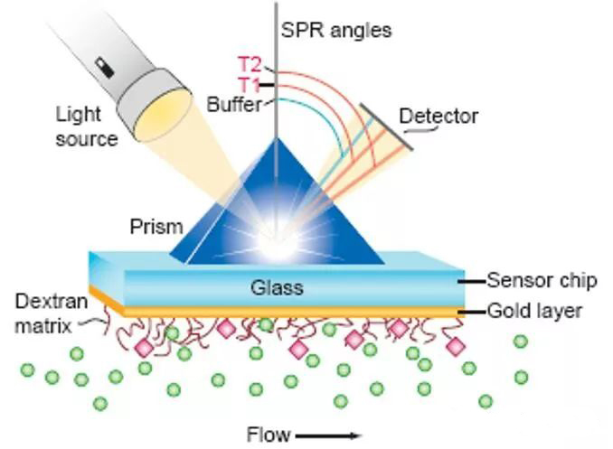 SPR