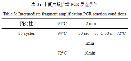 反应条件