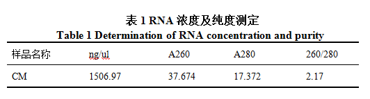 RNA浓度及纯度鉴定