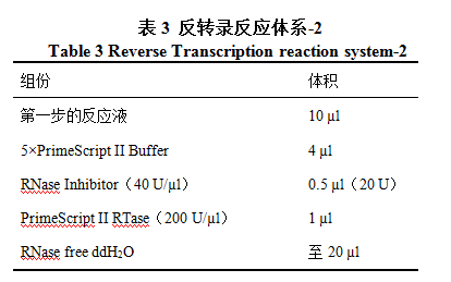 反转录反应体系2