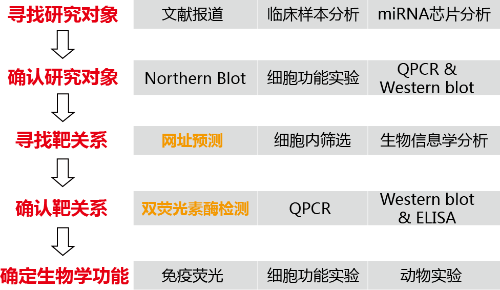 miRNA与靶基因的靶向互作研究思路