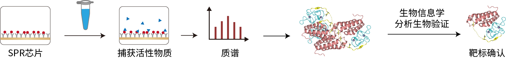 技术流程