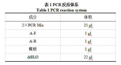 PCR反应体系