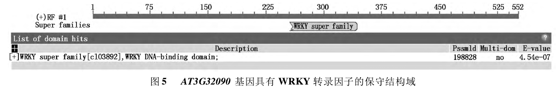 酵母双杂交的应用