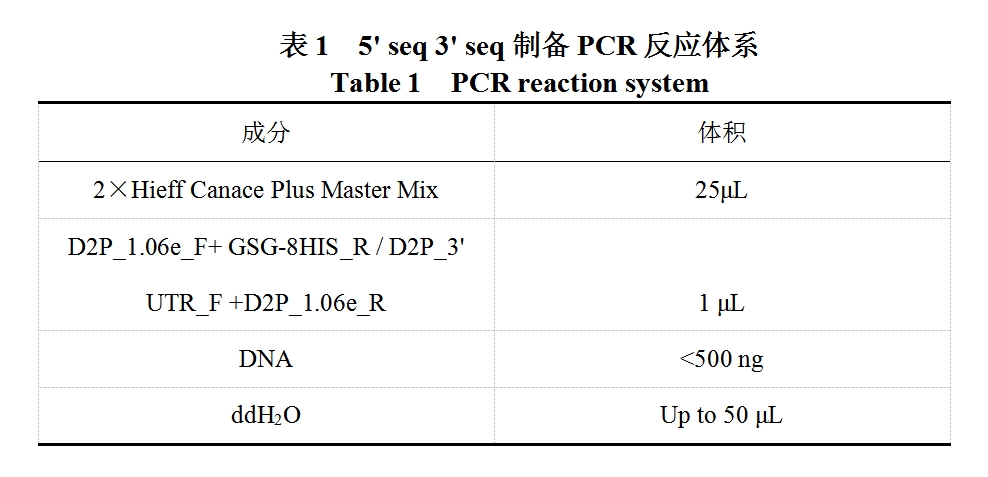 PCR反应体系