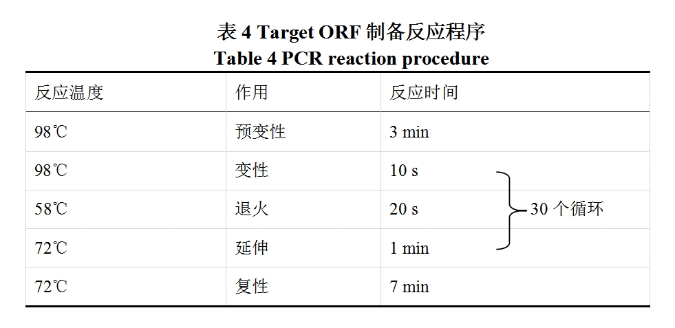 Target ORF 制备反应程序