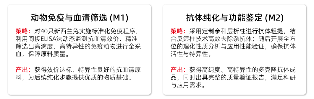 ADA特异性多克隆抗体制备项目概览与核心目标