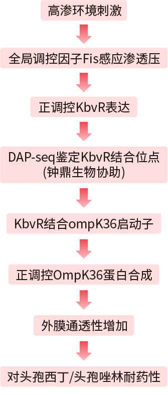 第一篇文献研究思路