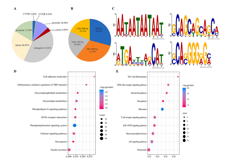 第二篇文献结果图