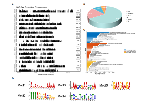 第三篇文献结果图