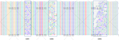 Total RNA 电泳图