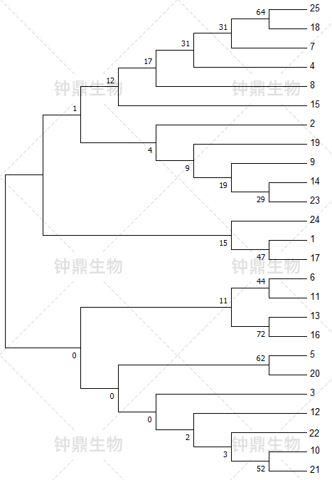 Total RNA 电泳图
