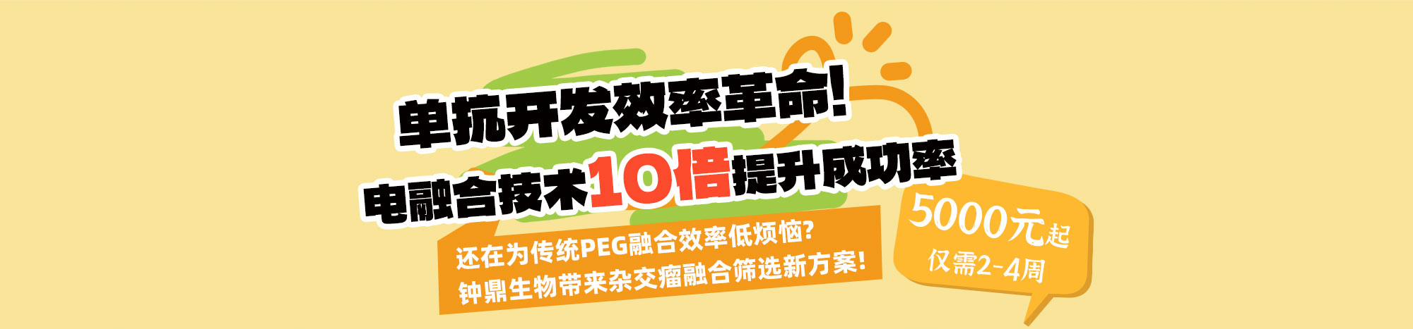 头部banner