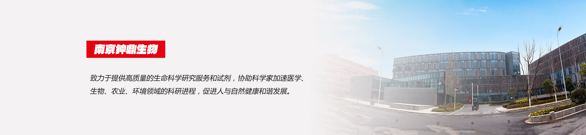 头部banner