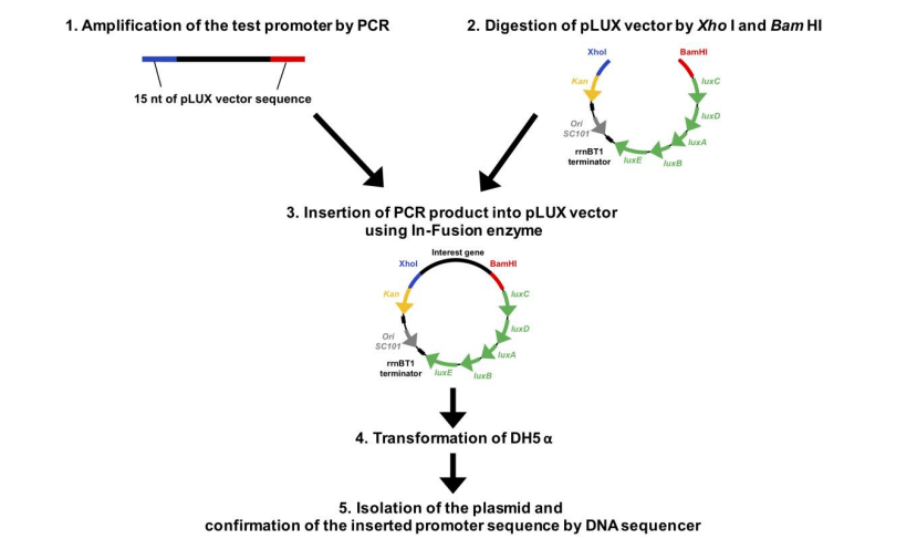 对照组与测试组
