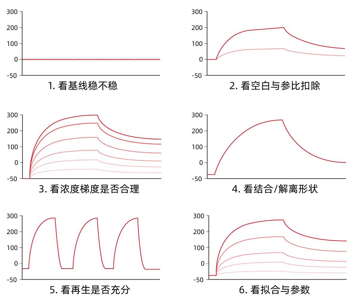 六步复核顺序示意图