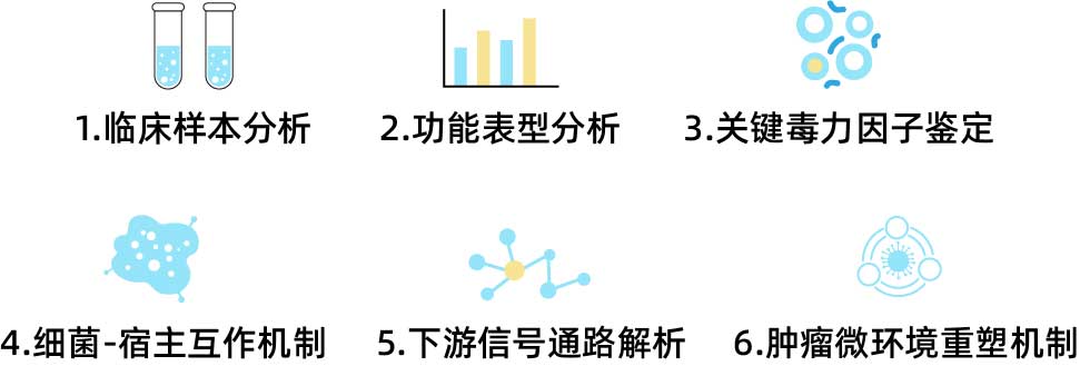 研究思路