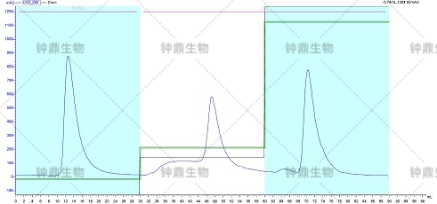 镍柱亲和层析