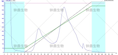 离子交换层析