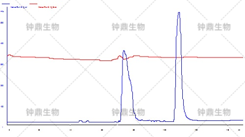 凝胶过滤层析