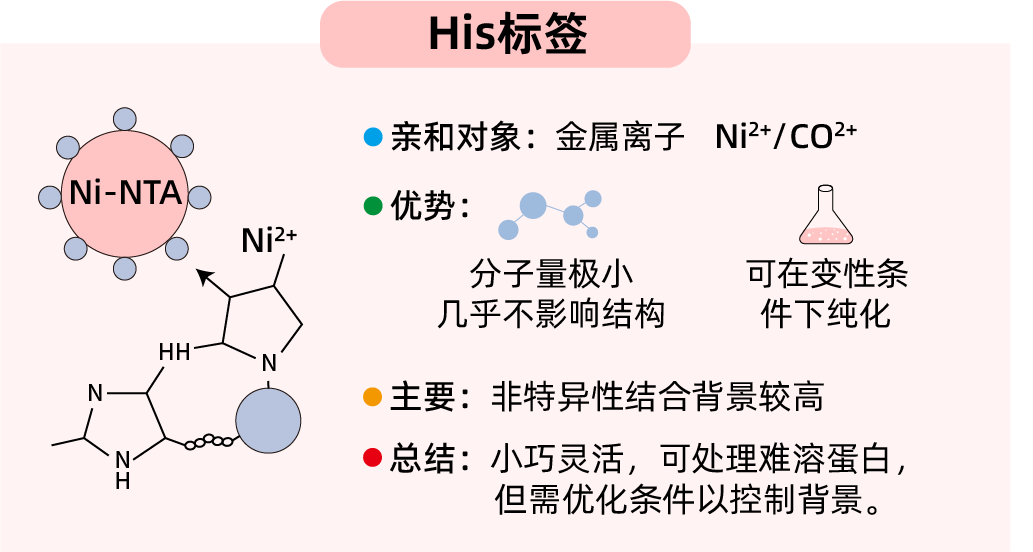 消失的蛋白