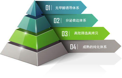 化学蛋白质组学服务